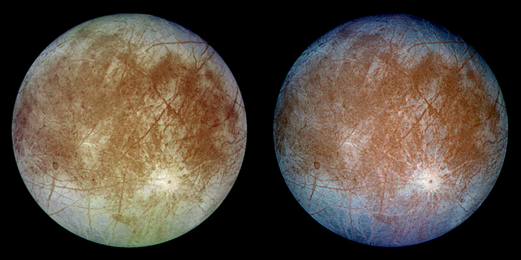 Where to Look for Life on Jupiter's Moon Europa